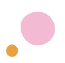 sophiedebockmoret-com.pages.dev favicon